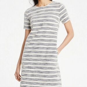 Ann Taylor Textured Stripe Knit Tweed Shift Dress White Grey Preppy Pockets Sz L